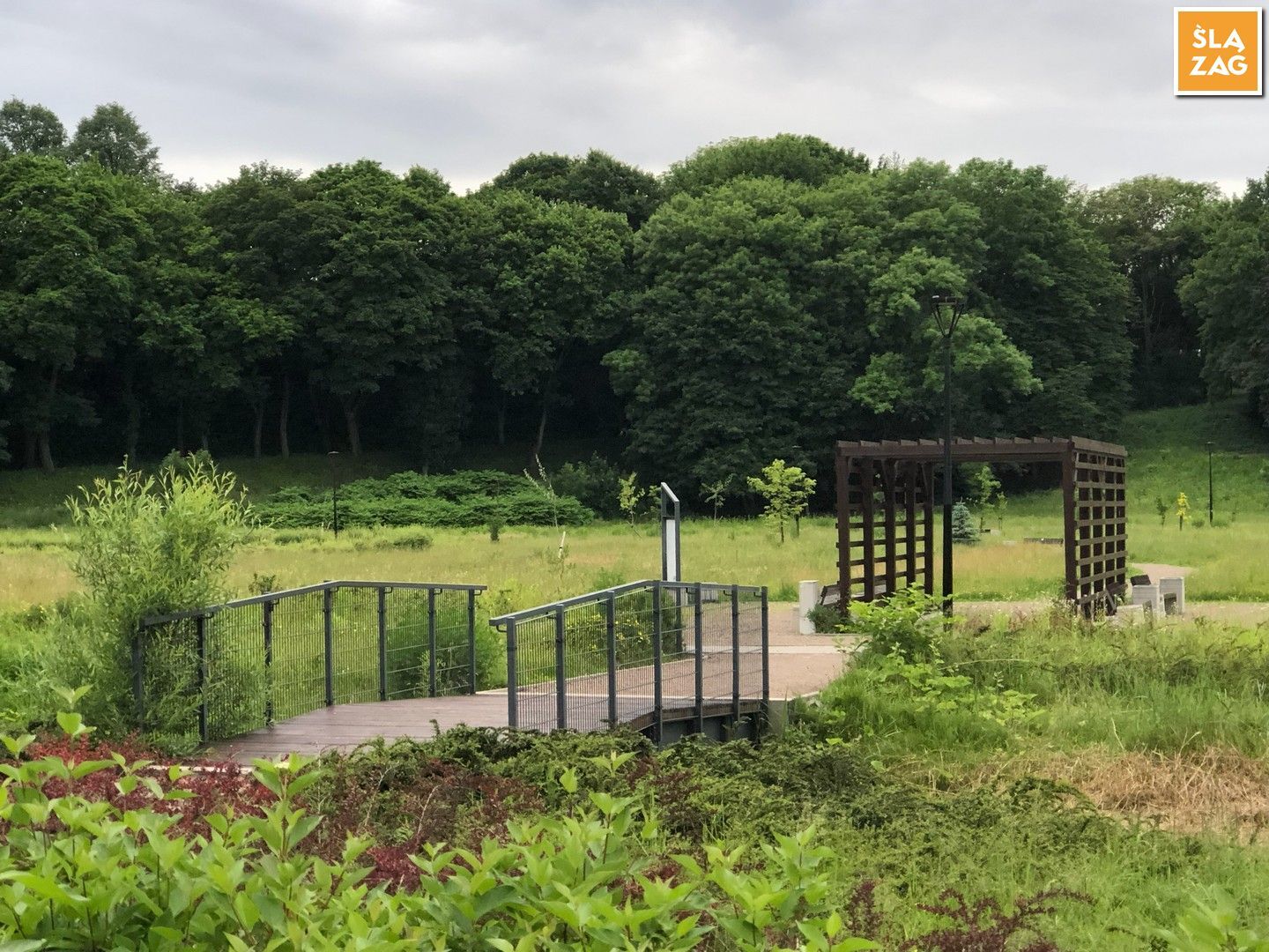 Myslowice Park Promenada Fot Robert Lechowski 2026 06 12 14