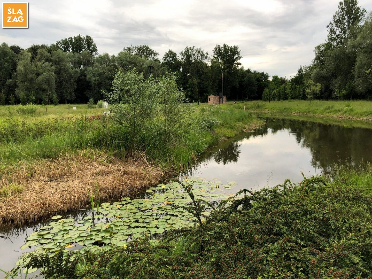 Myslowice Park Promenada Fot Robert Lechowski 2026 06 12 15