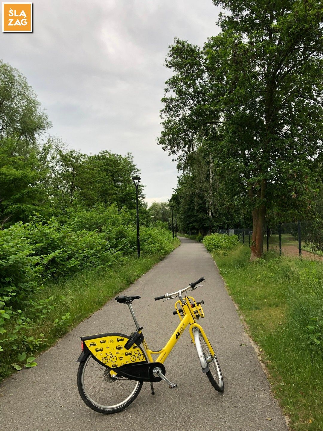 Myslowice Park Promenada Sciezka Pieszo Rowerowa Fot Robert Lechowski 2026 06 12 01