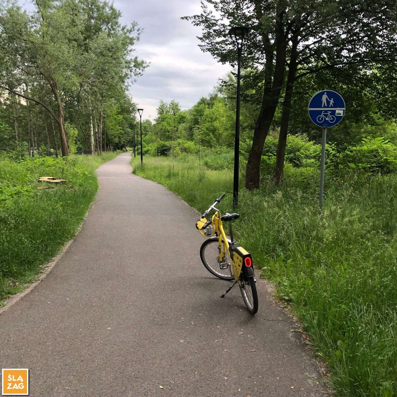 Myslowice Park Promenada Sciezka Pieszo Rowerowa Fot Robert Lechowski 2026 06 12 02