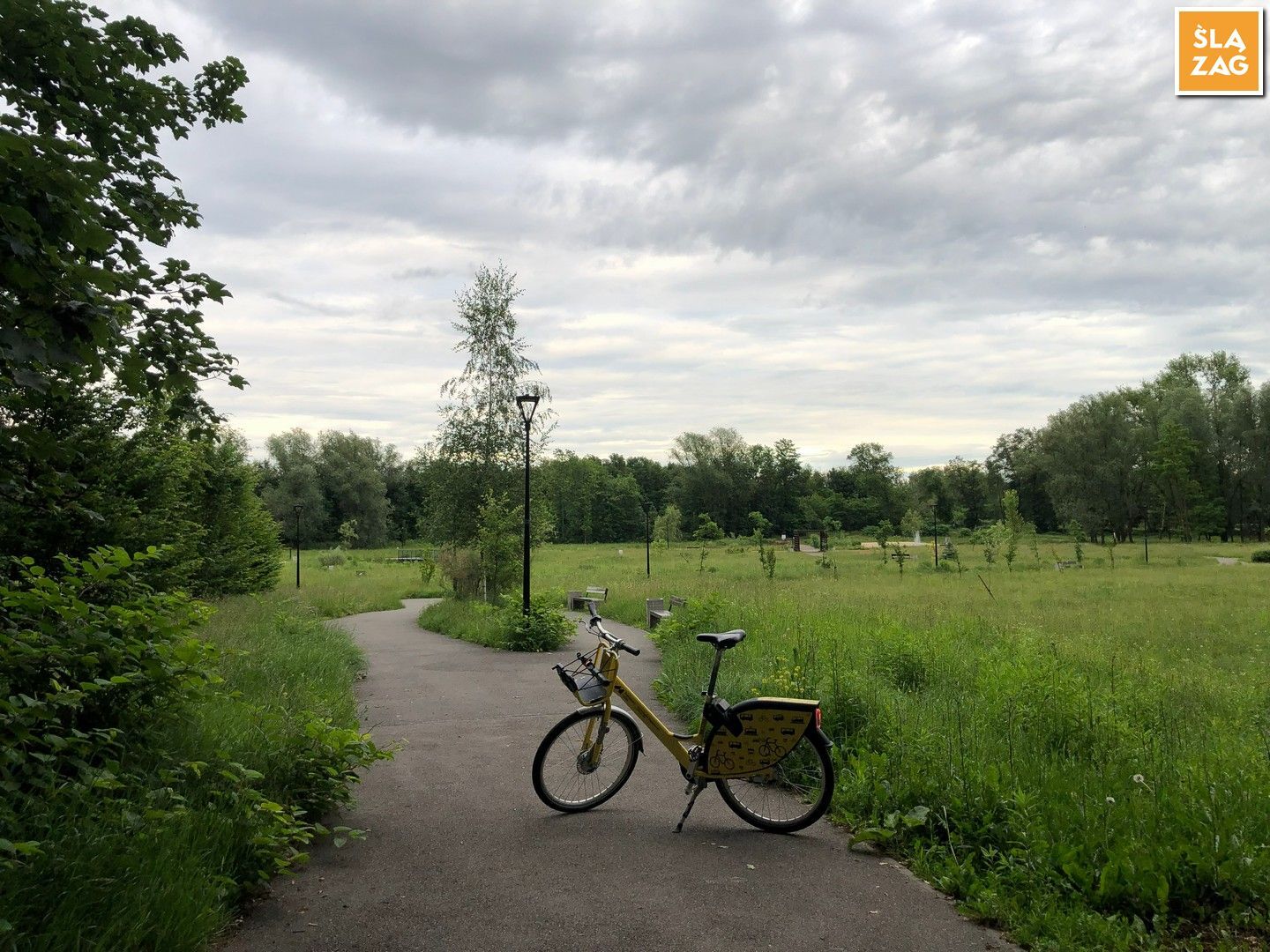 Myslowice Park Promenada Sciezka Pieszo Rowerowa Fot Robert Lechowski 2026 06 12 03