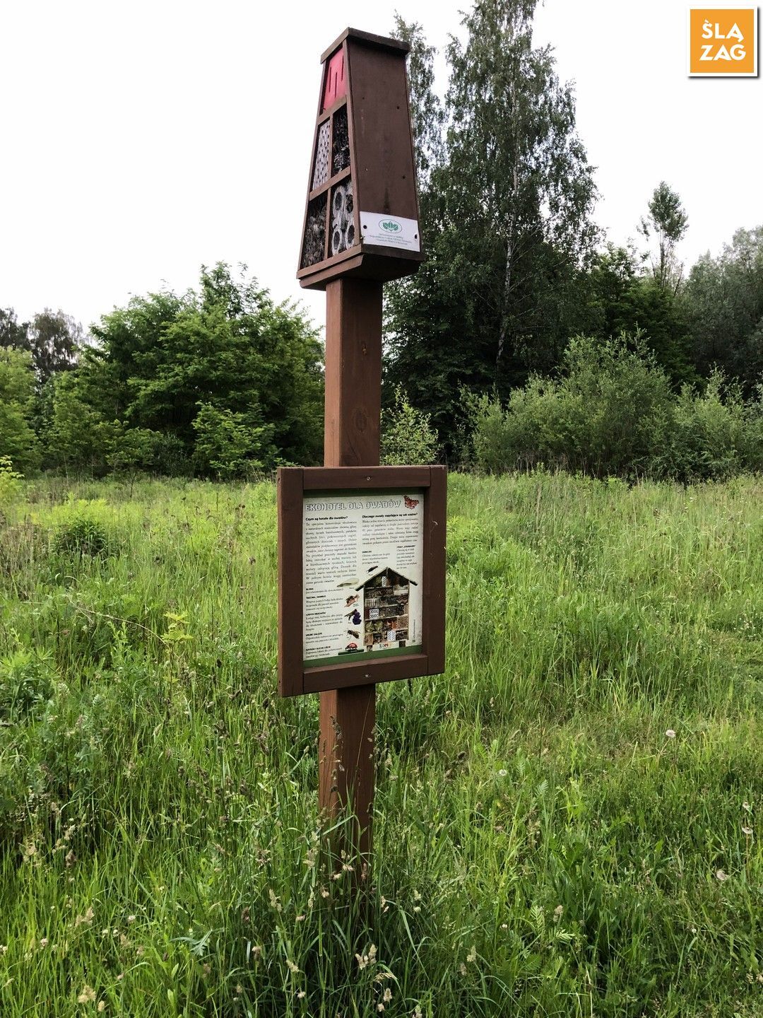 Myslowice Park Promenada Wioska Owadow Ptasia Wioska Fot Robert Lechowski 2026 06 12 04