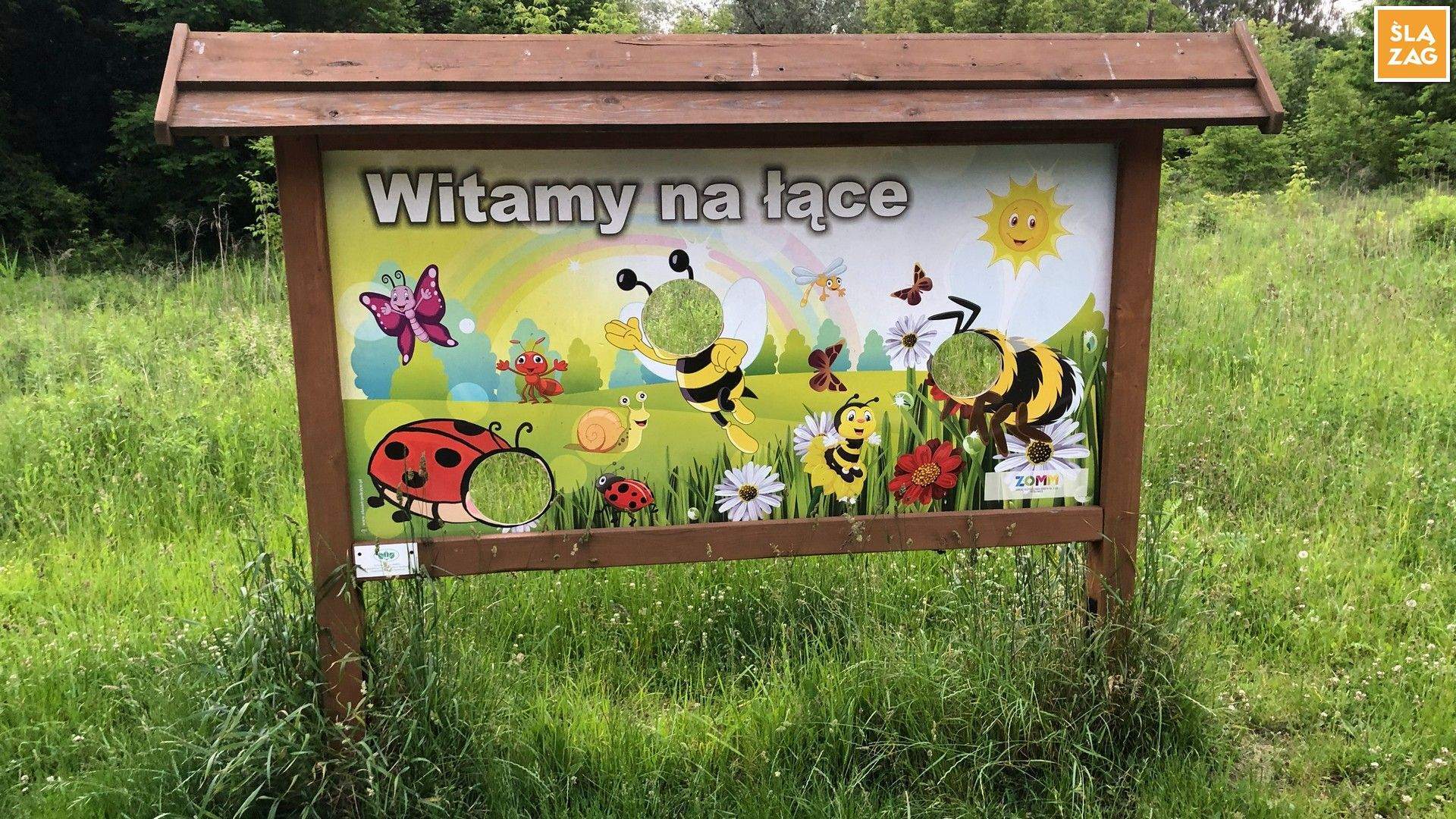 Myslowice Park Promenada Wioska Owadow Ptasia Wioska Fot Robert Lechowski 2026 06 12 05 Kadr
