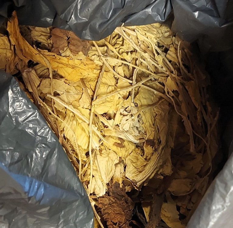 Nielegalny tyton Bierun 3