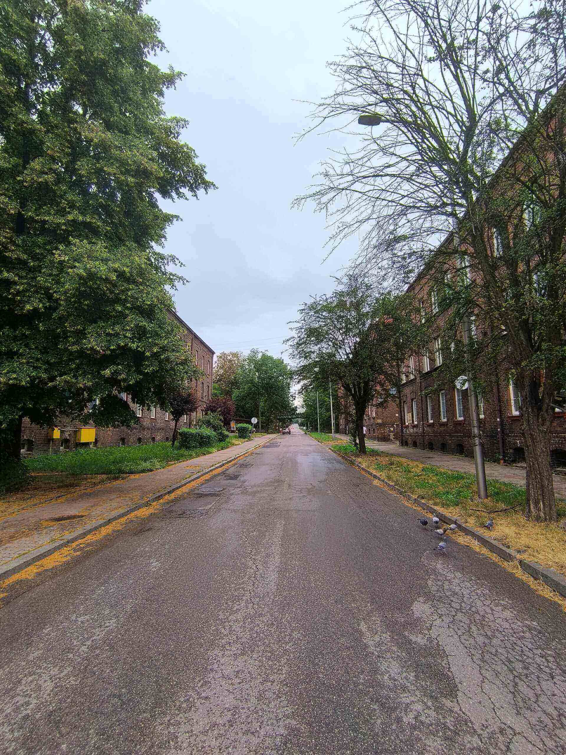 Ulica Marii Konopnickiej w Grodźcu. 2025 r.