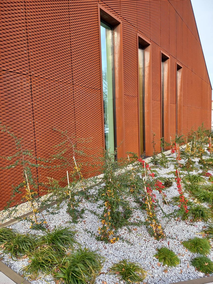 Ognisko Pracy Pozaszkolnej Mikolow 19 Copy