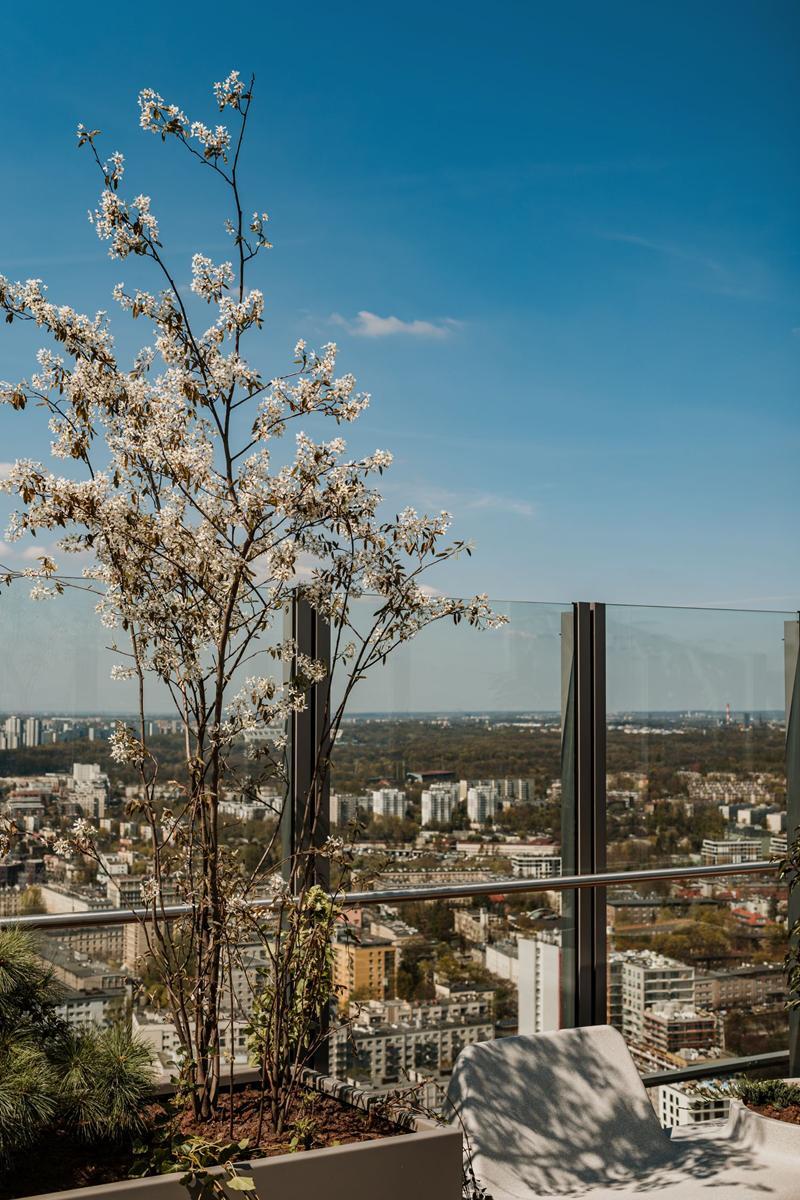 Olimpijska B Taras mid 07 Copy