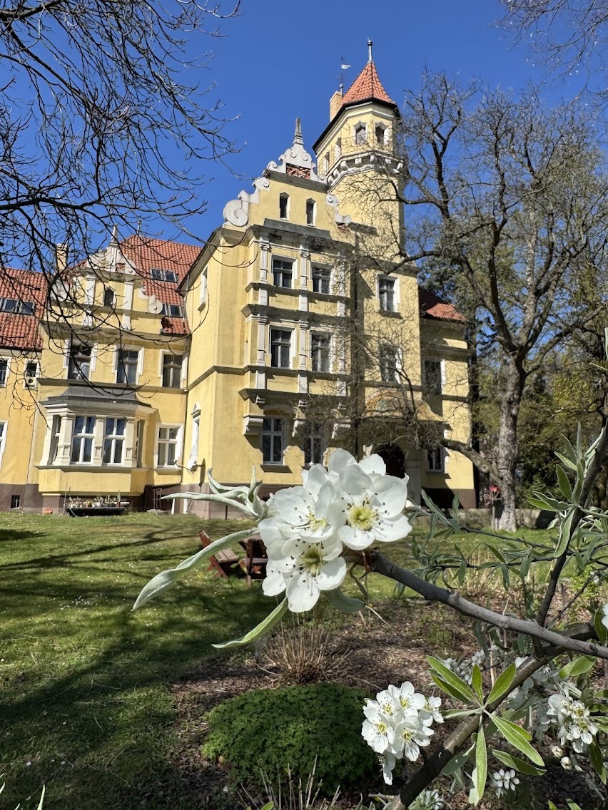 Ornontowice - dawny swiat rodziny Hegenscheidt