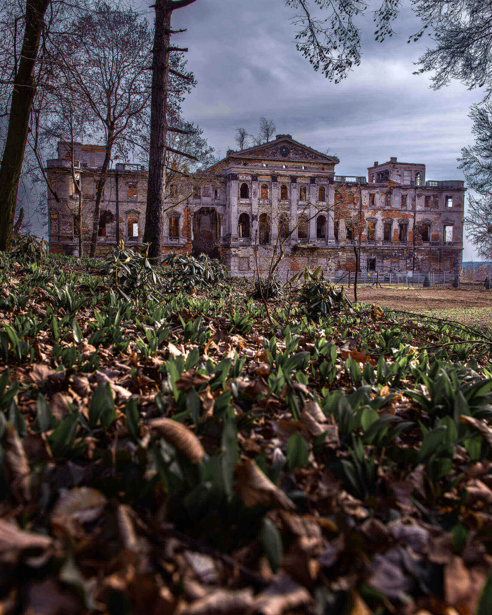 Ruiny pałacu w Sławikowie