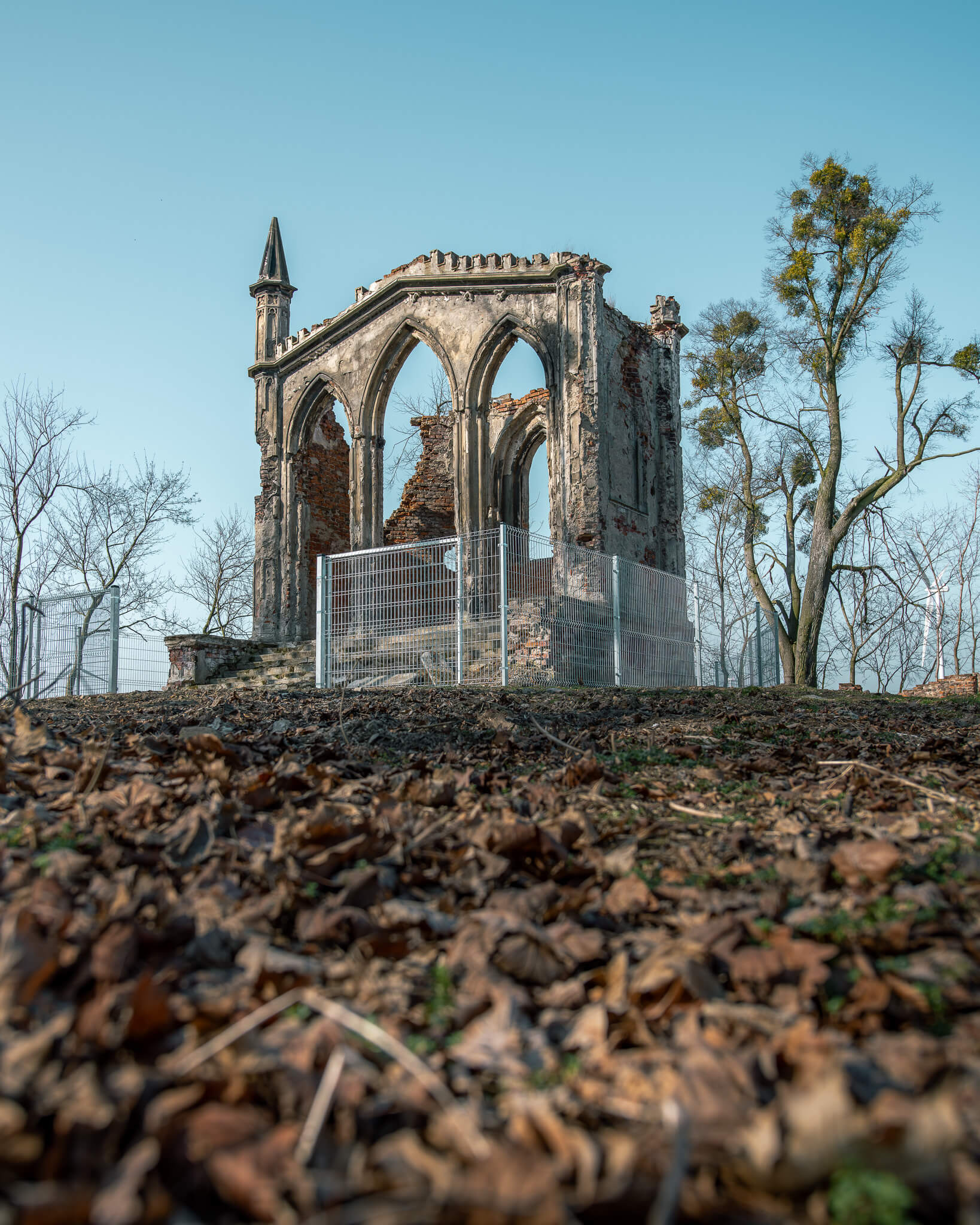 Ruiny pałacu w Sławikowie