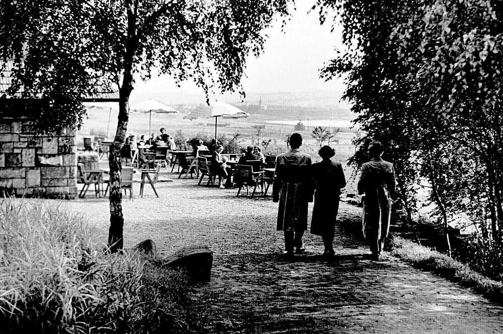 Park Śląski na dawnych zdjęciach. Tak było, nim urosły drzewa.