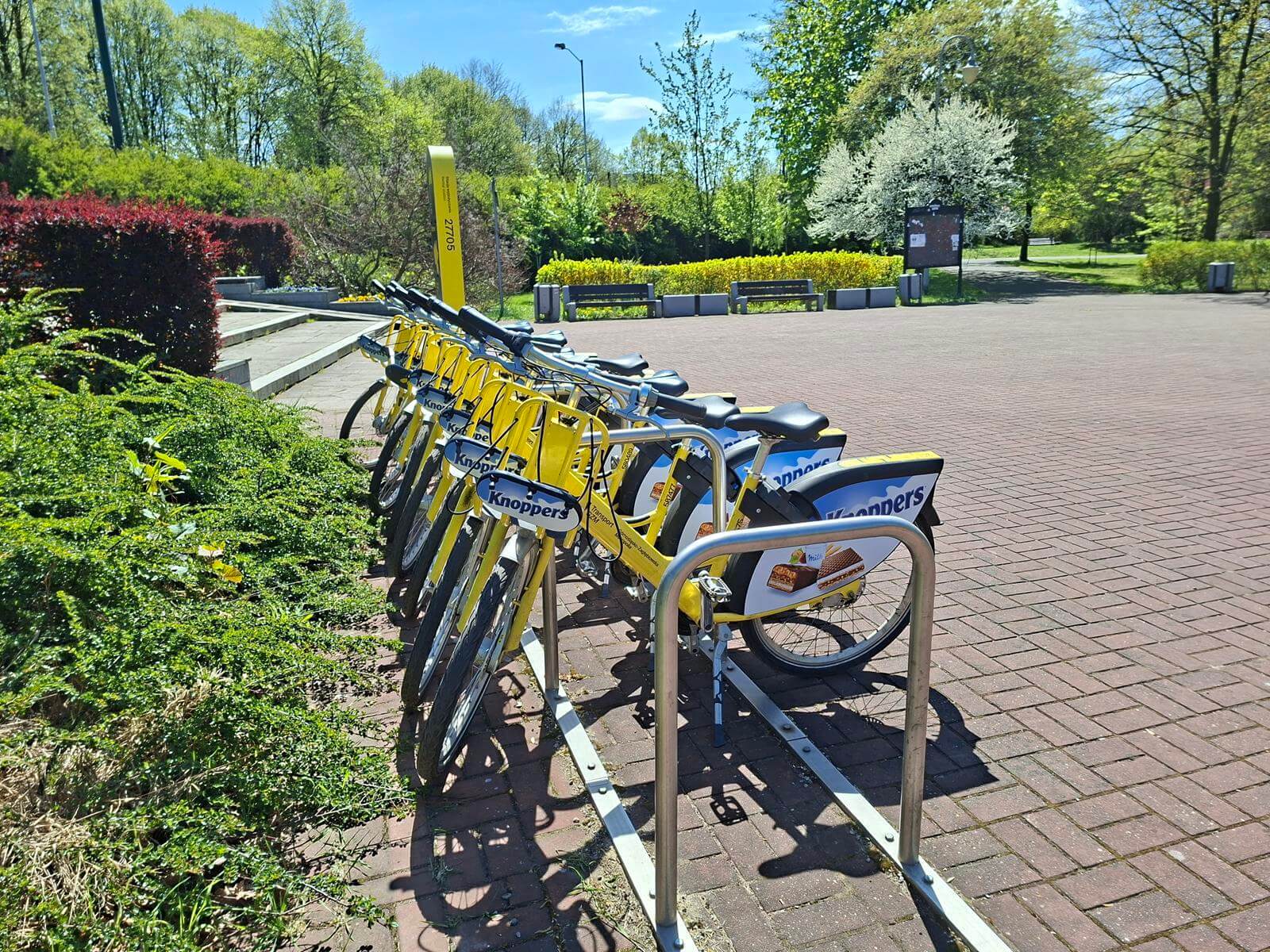 Stacja metroroweru w Parku Kościuszki