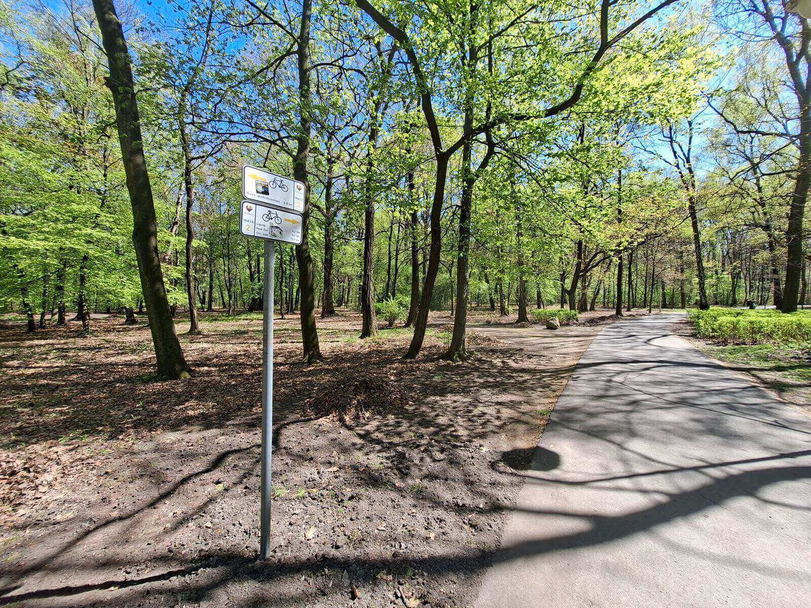 Park Kociuszki Katowice metrorower 9