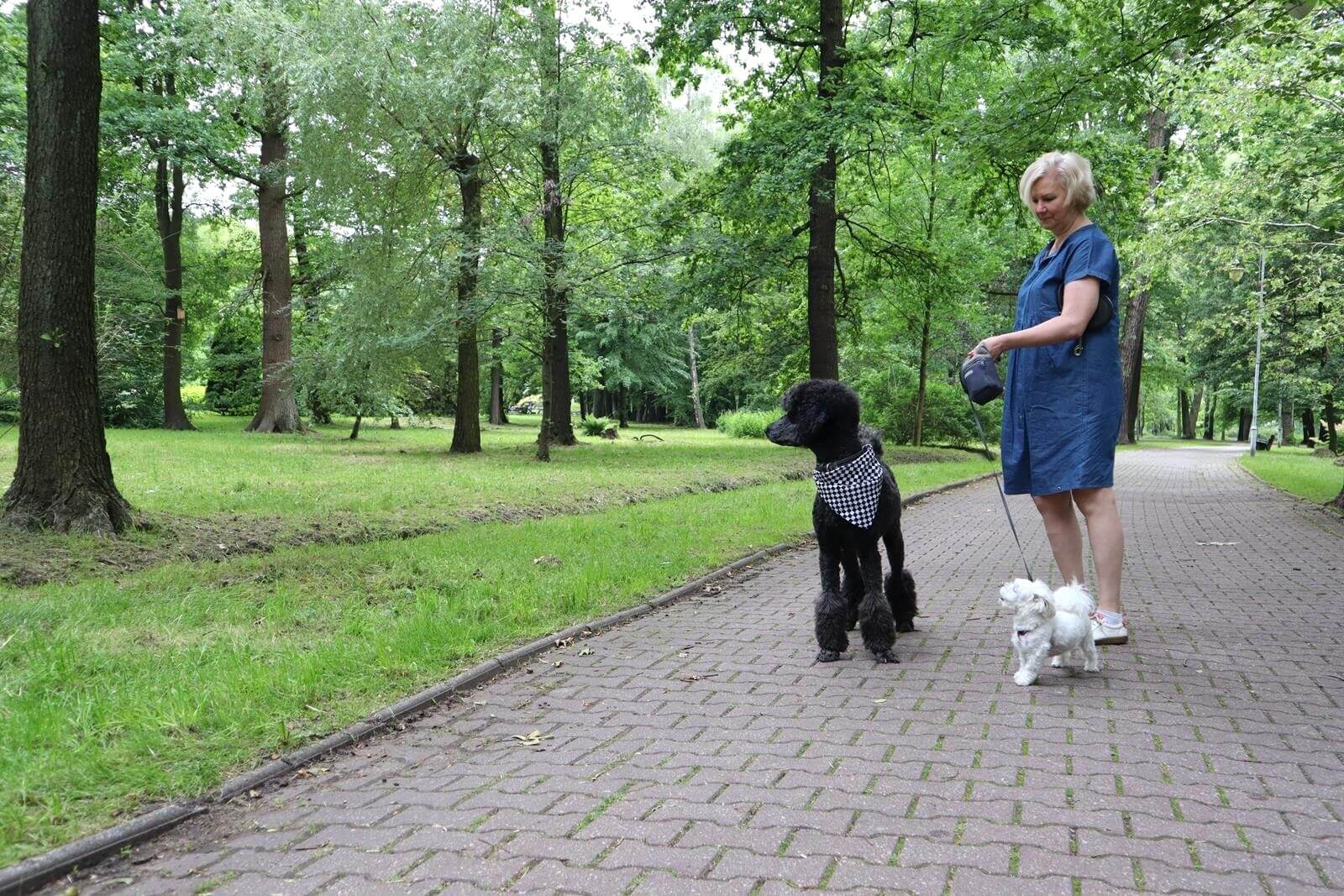 Park Kościuszki, Katowice