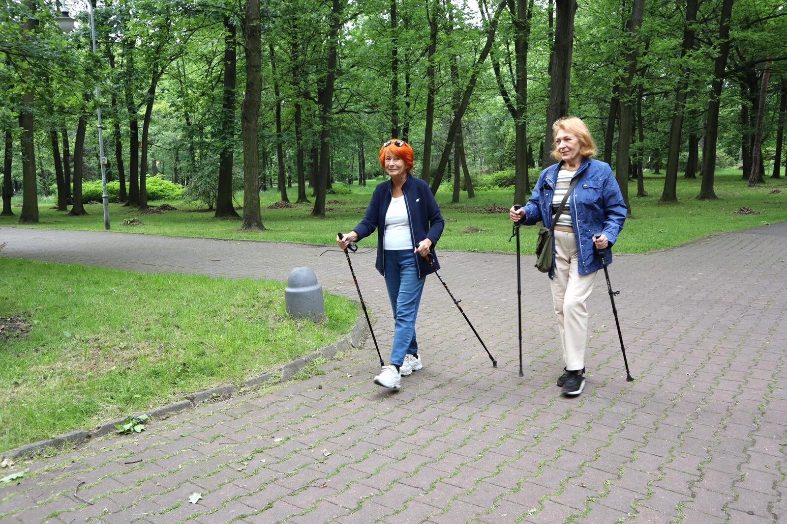 Park Kościuszki, Katowice