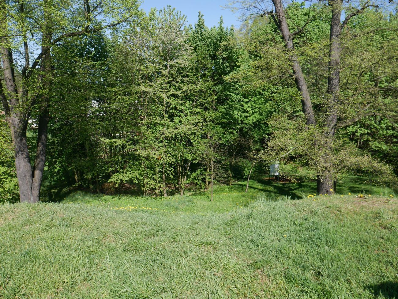 Park Kunszt TG