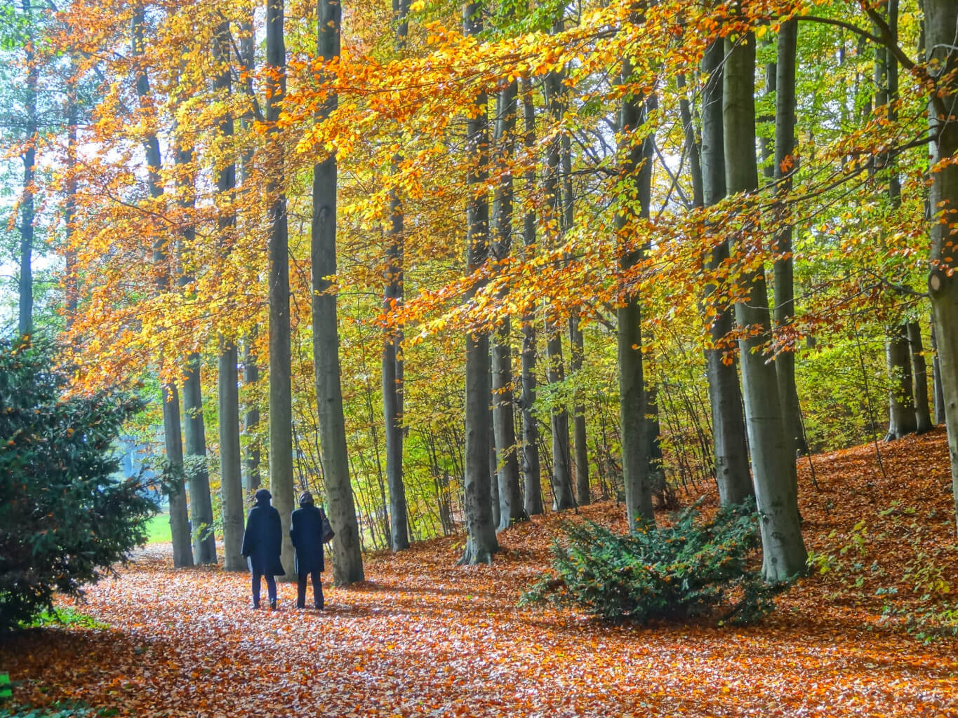 Park Myślęcinek w Bydgoszczy to największy park miejski w Polsce