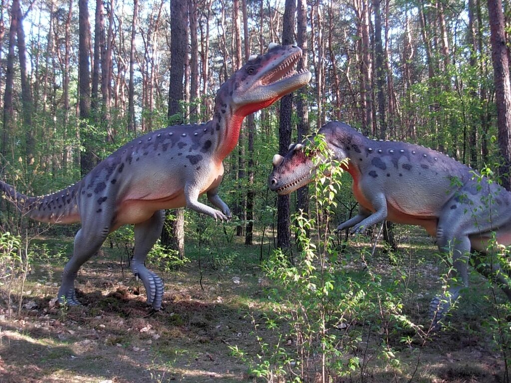 Park Myślęcinek w Bydgoszczy to największy park miejski w Polsce