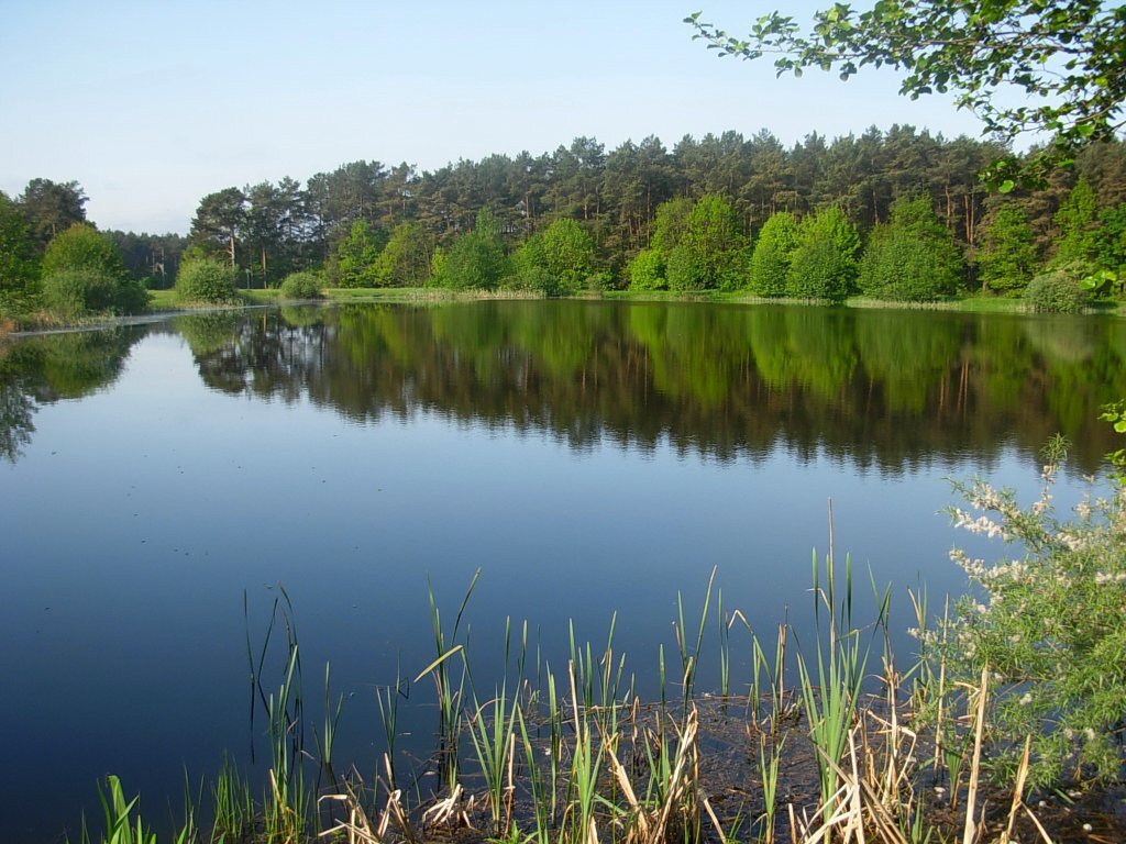 Park Myślęcinek w Bydgoszczy to największy park miejski w Polsce