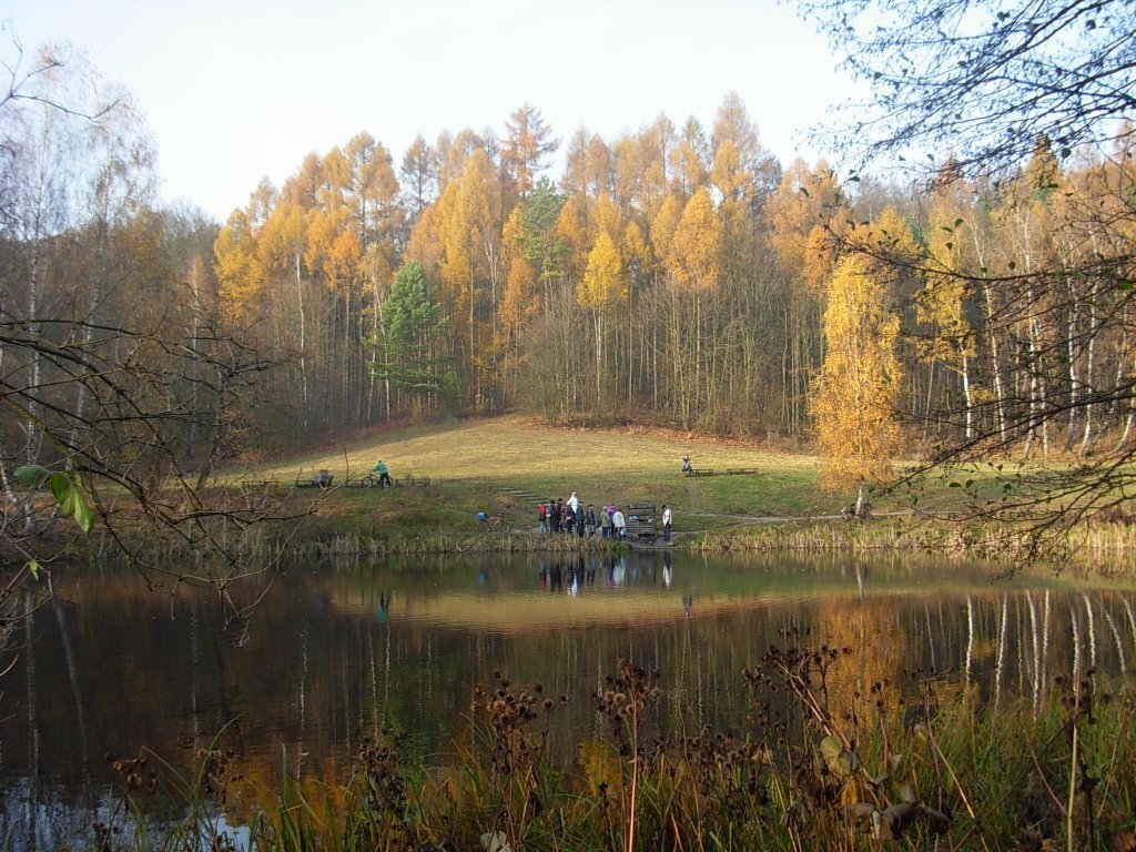 Park Myślęcinek w Bydgoszczy to największy park miejski w Polsce