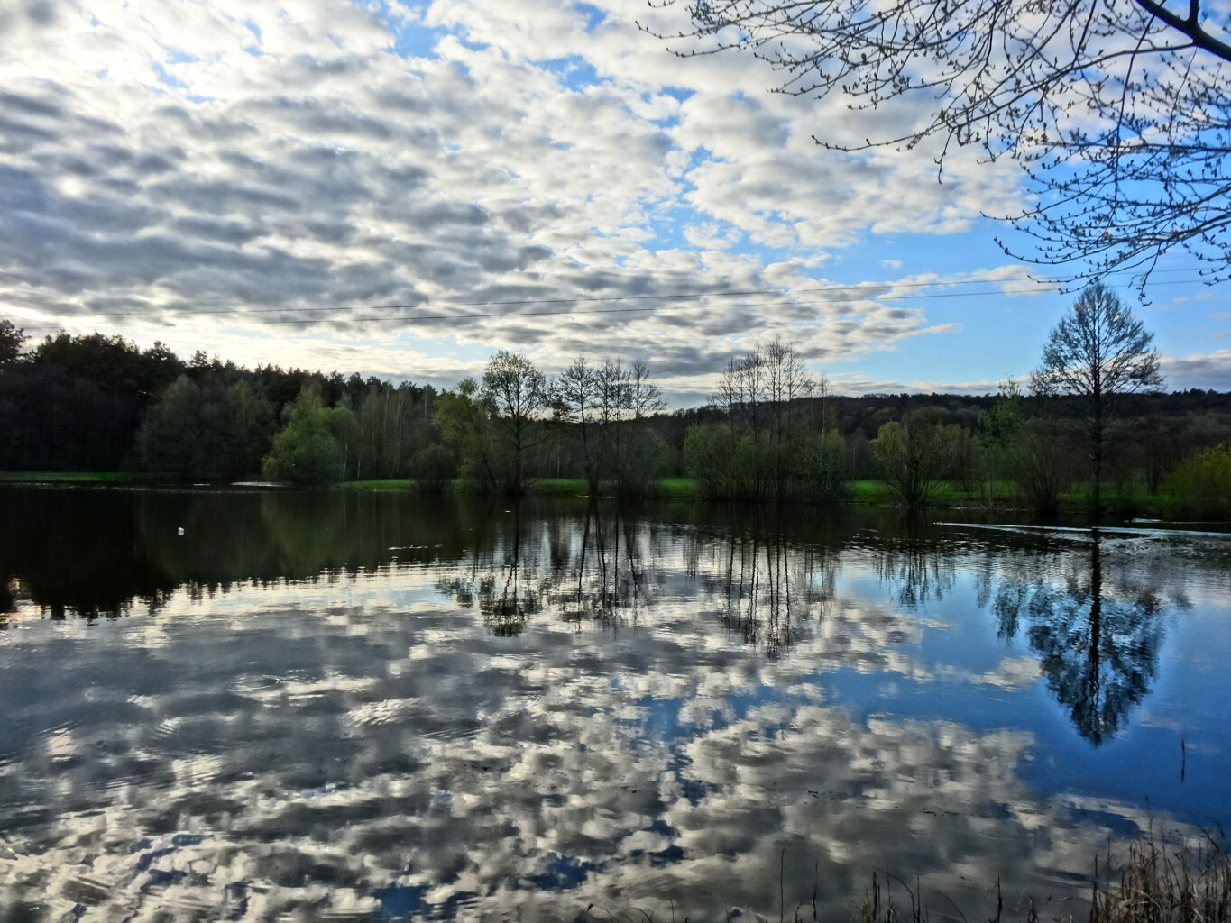 Park Myślęcinek w Bydgoszczy to największy park miejski w Polsce