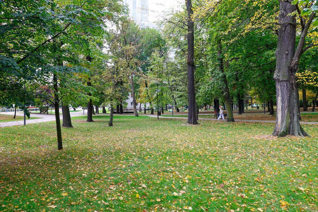 Park Powstańców Śląskich, Katowice
