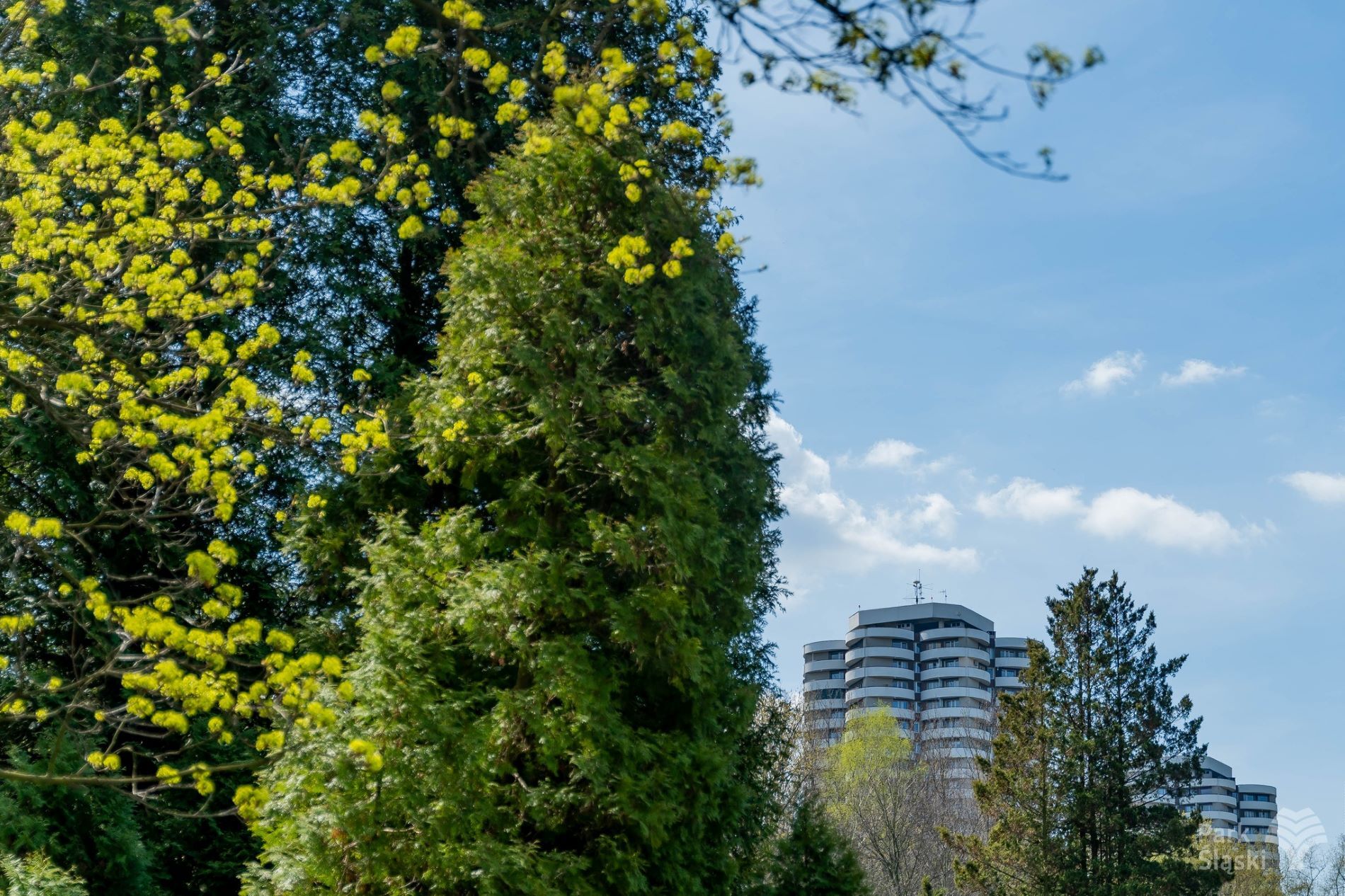 Park Śląski, wiosna 2025