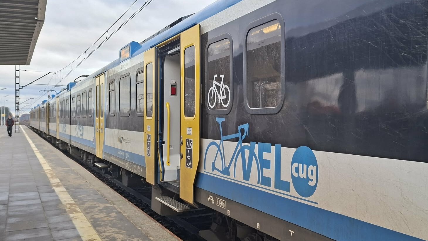 Pociąg Kolei Śląskich zatrzymany. Ktoś wtargnął na tory w Skoczowie. Ruch na linii S6 i S62 wstrzymany. Wprowadzono zastępczą komunikację autobusową