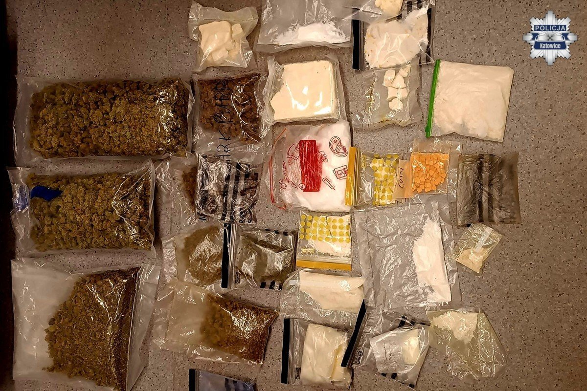 Lauba bezprawia. Katowiczanin trzymał kilogramy narkotyków... na ogródku działkowym