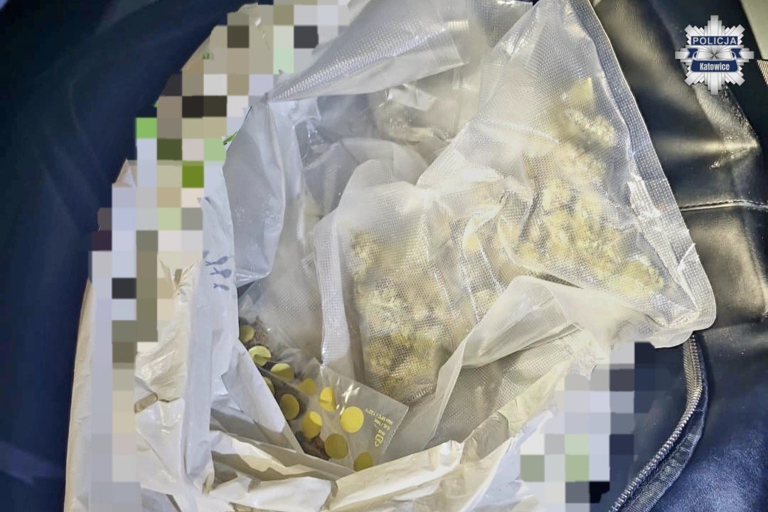 Lauba bezprawia. Katowiczanin trzymał kilogramy narkotyków... na ogródku działkowym