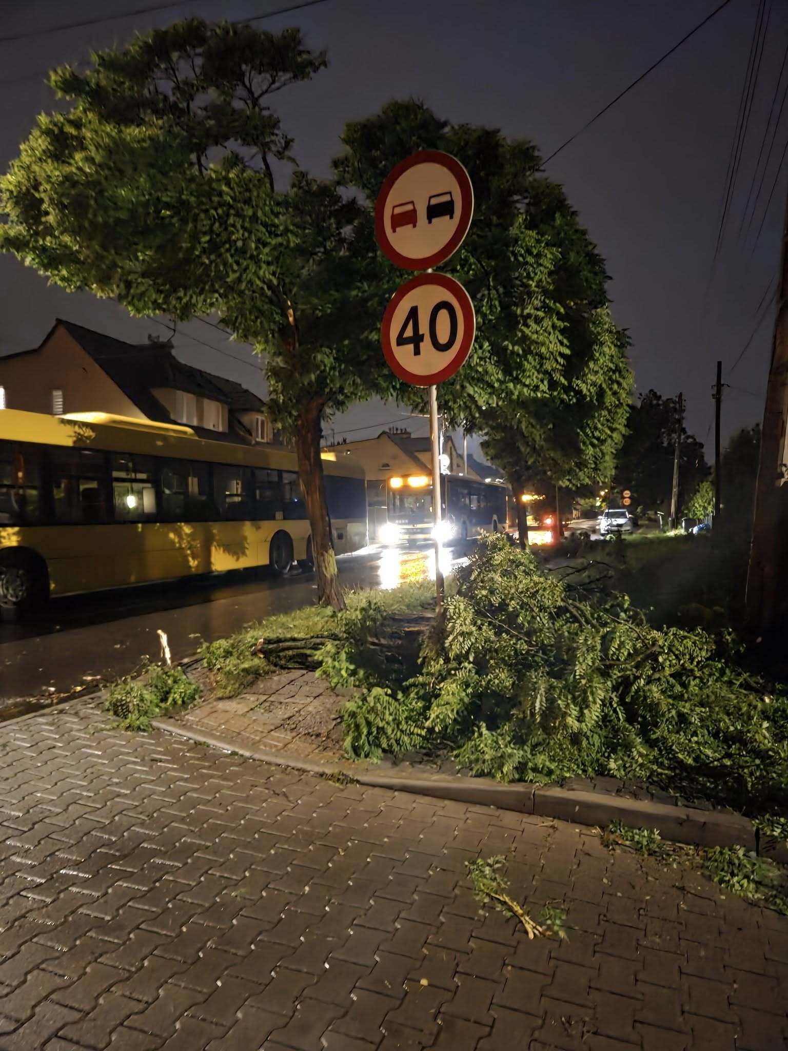 Powalone drzewo Katowice Wełnowiec