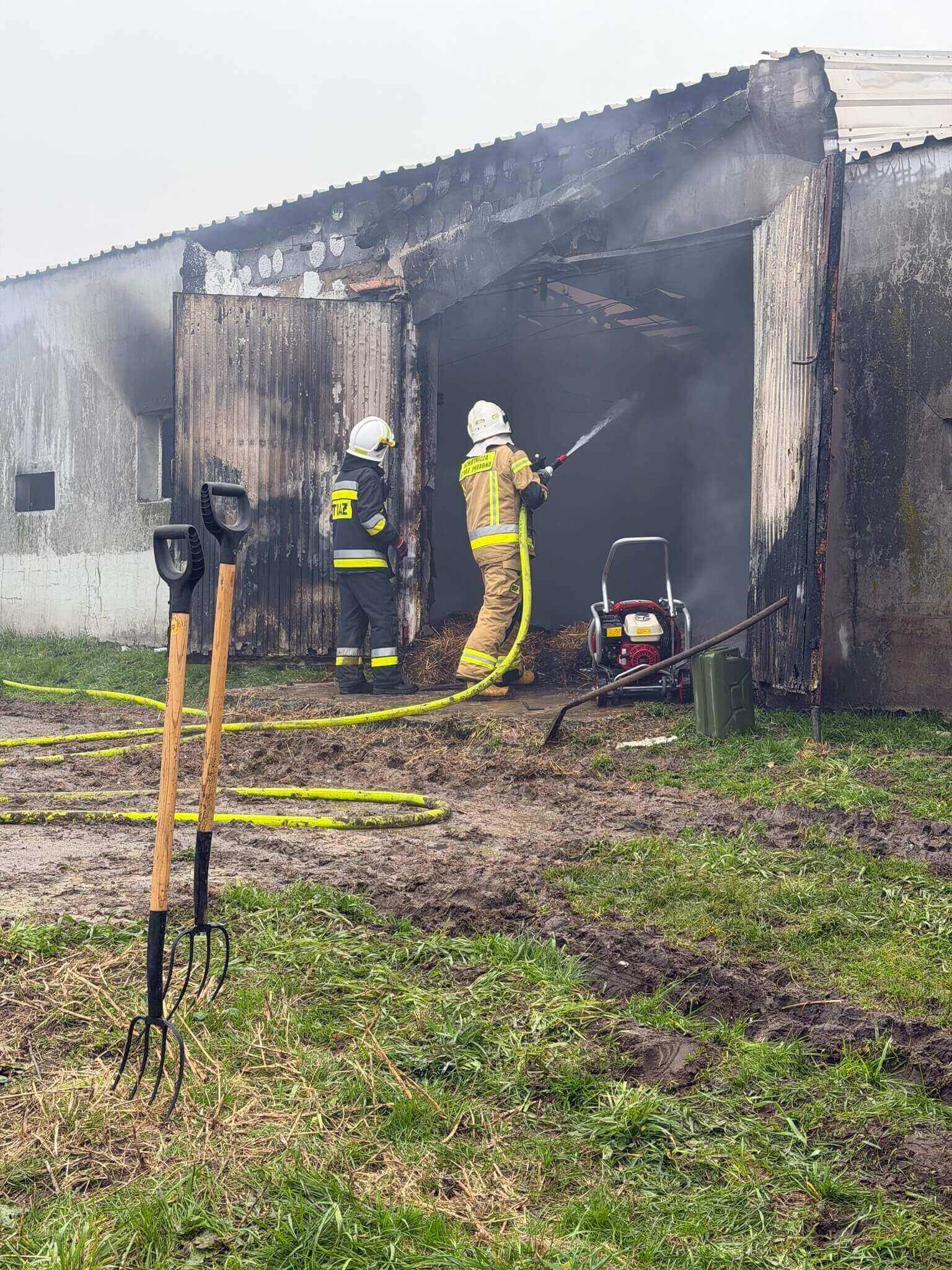 W pożarze kurnika zginęło około 23 tysięcy kurcząt