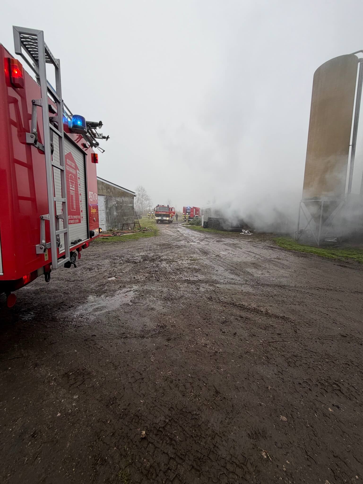 W pożarze kurnika zginęło około 23 tysięcy kurcząt