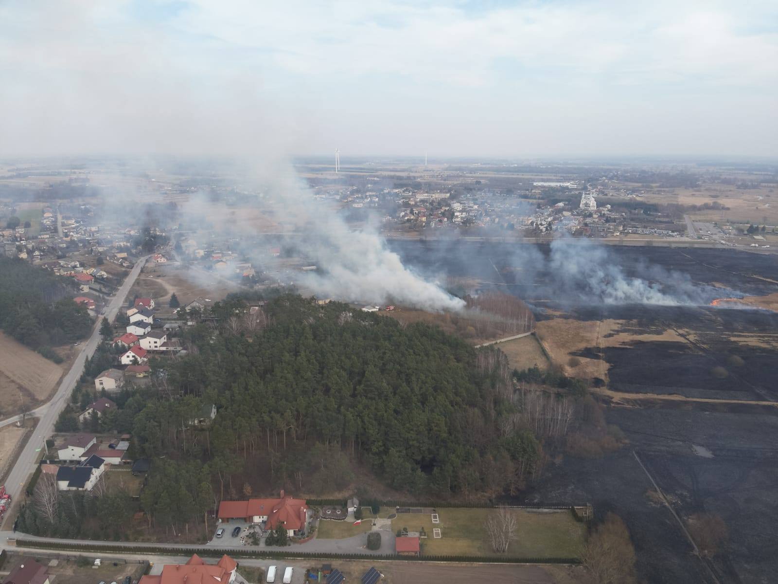 Pozary traw Polska marzec 2025 10