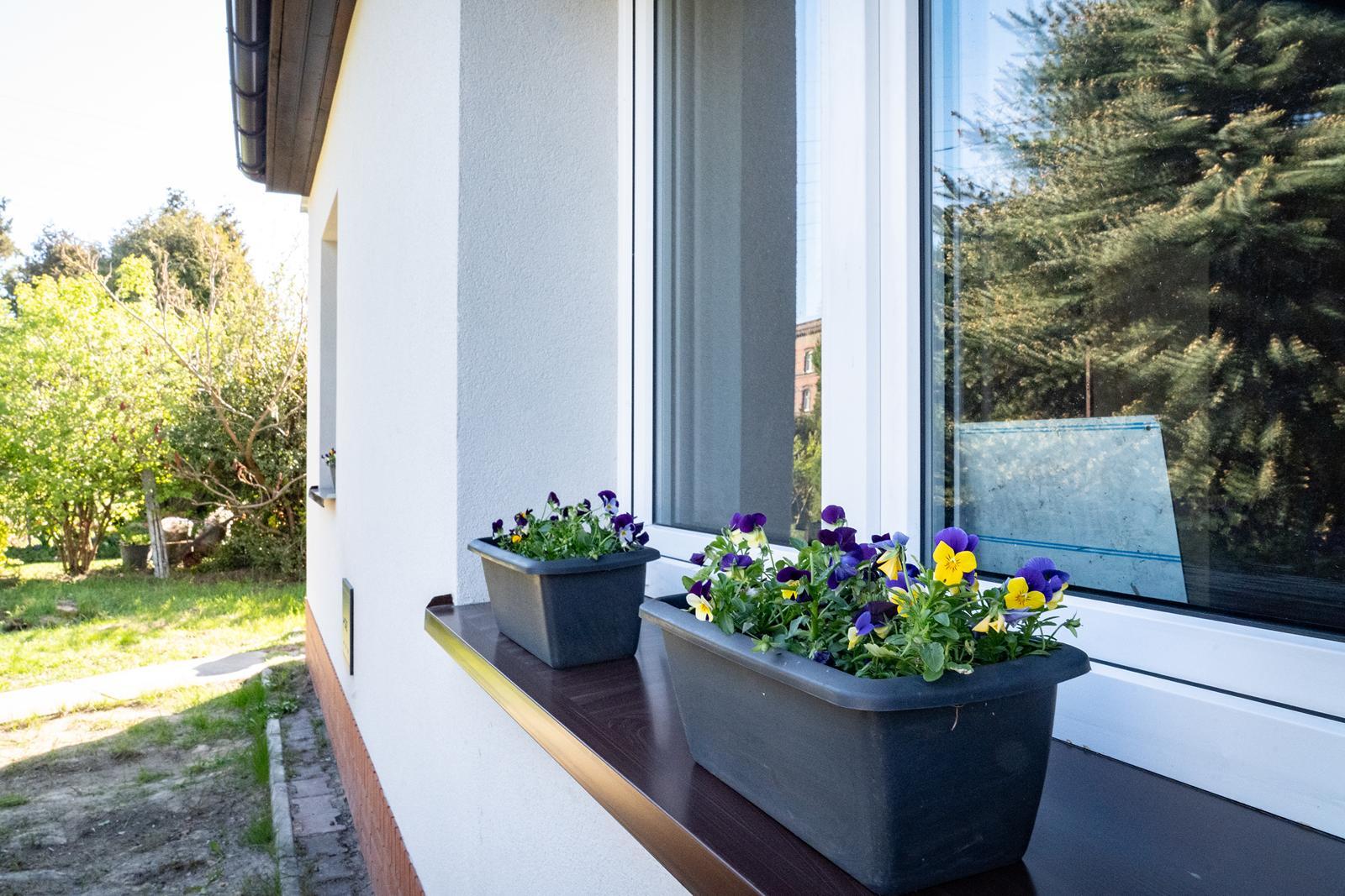 Program Stop Smog Katowice 27 Copy