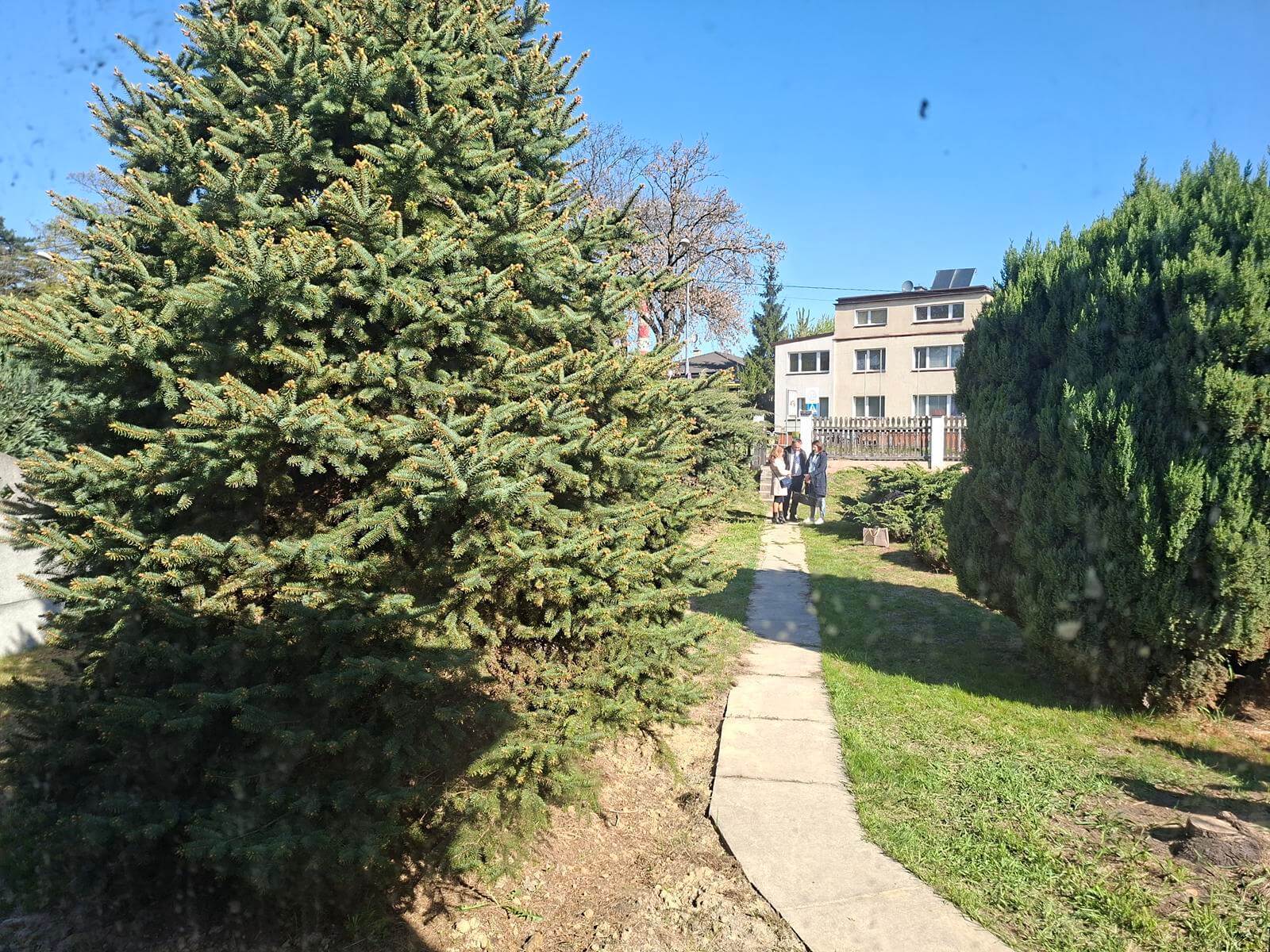 Program Stop Smog Katowice 5 Copy