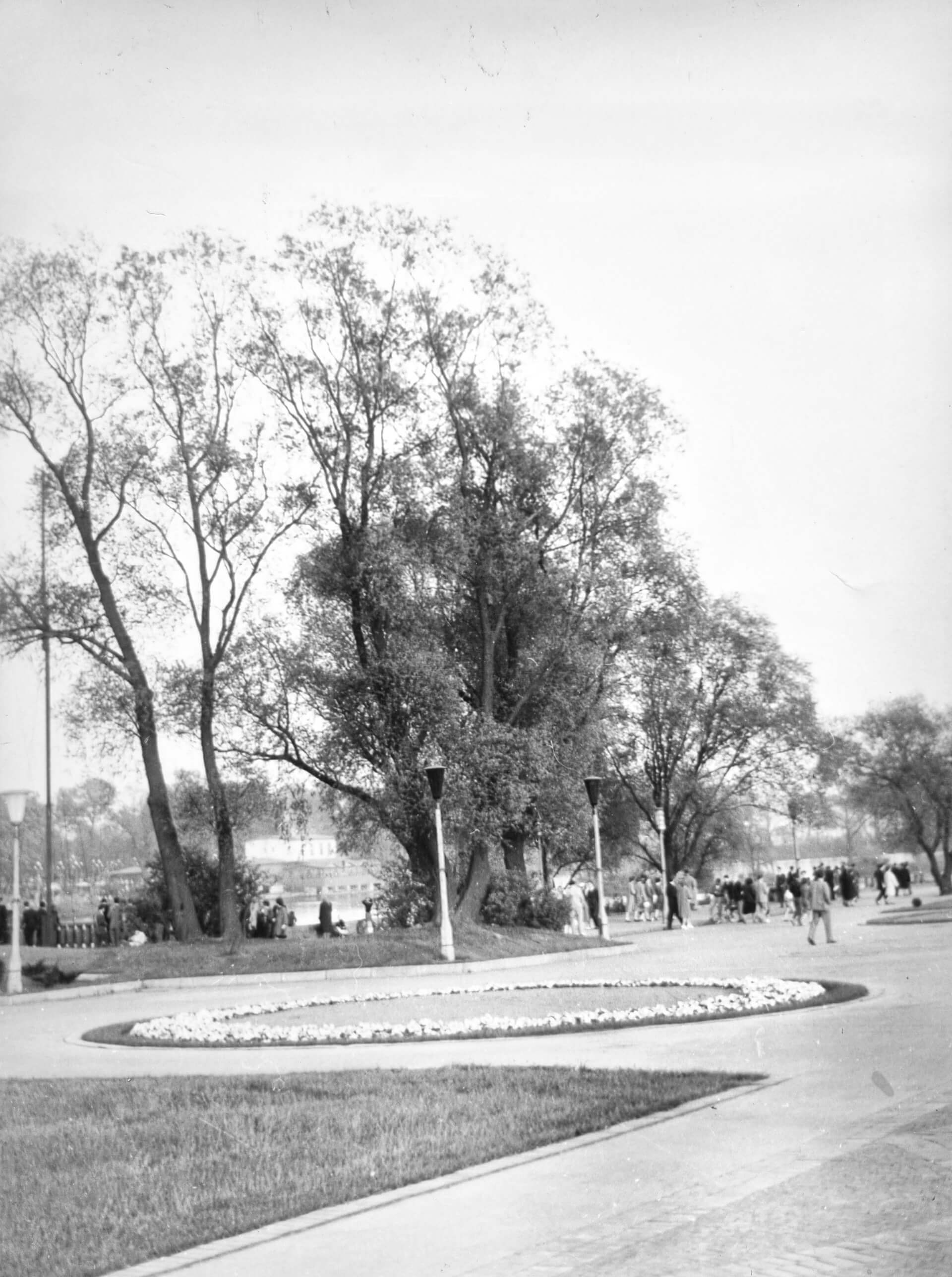 Promenada im. Generała Jerzego Ziętka w latach 50.
