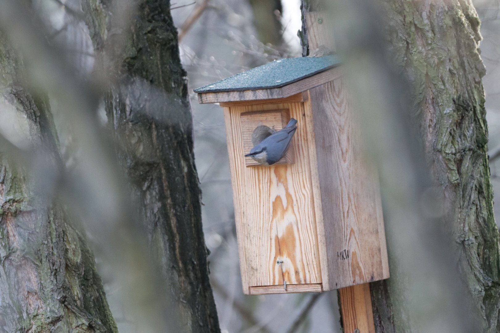 „Wiosenne ptakoliczenie 2025” na Stawikach. Inicjatywa Przemysława Bartosa – autora projektu i strony „Przyroda dla Sosnowca”.