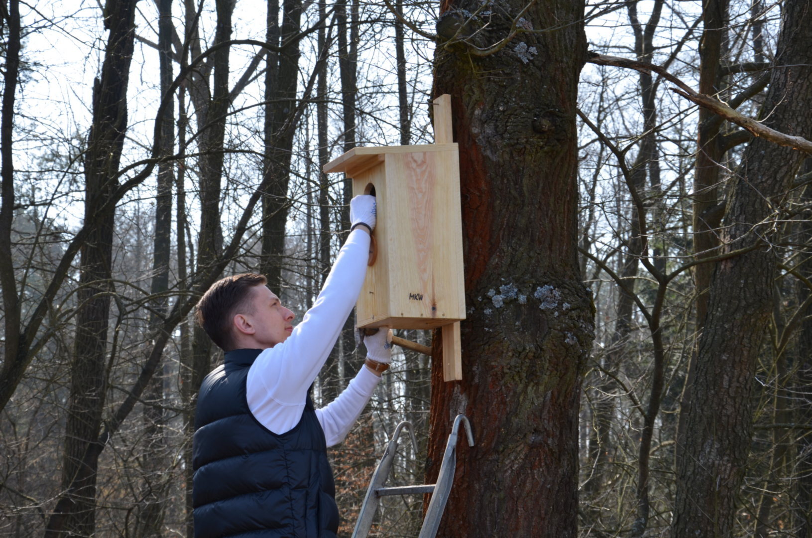 „Zaproś dudka do ogródka” – zachęca Przemysław Bartos – autor projektu i strony „Przyroda dla Sosnowca”.