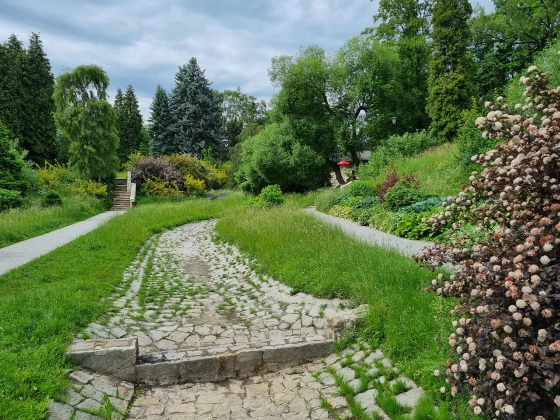 Przyrodnicza gra terenowa w parkowej aplikacji zawiera fatalne wpadki 6