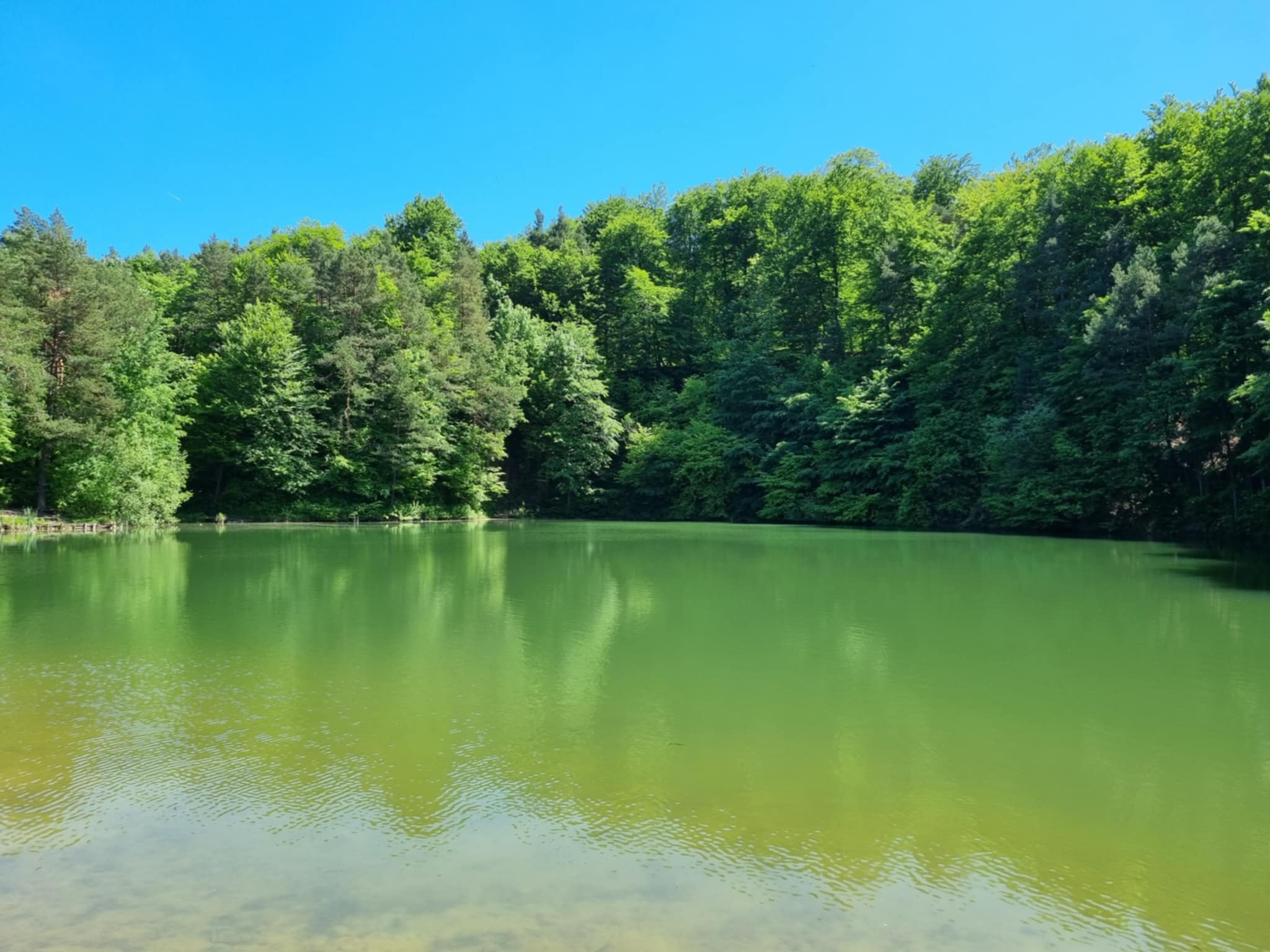 Zielony Staw w Kluczach