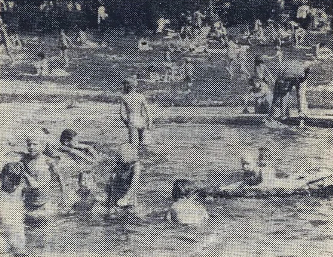 Radoszowy 1983
