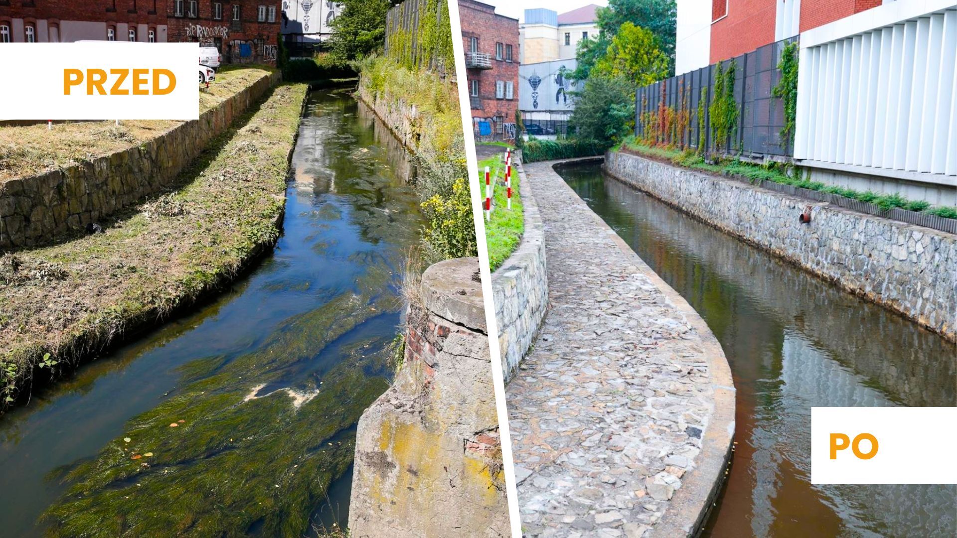 Rawa Katowice przed po oczyszczeniu