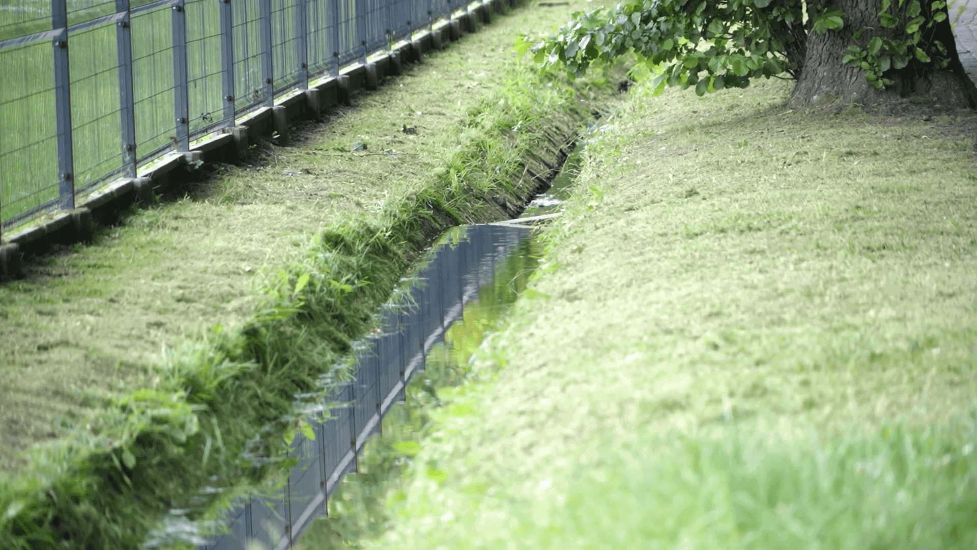 Mikołów: pokazano Regionalny Plan Adaptacji do zmian klimatu