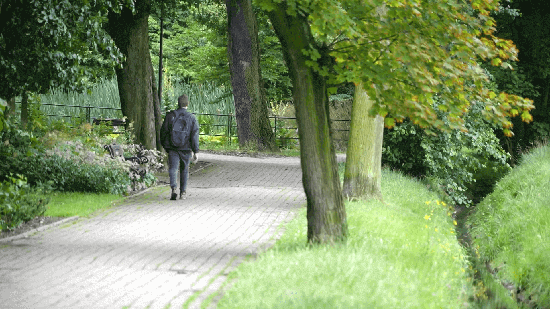 Mikołów: pokazano Regionalny Plan Adaptacji do zmian klimatu