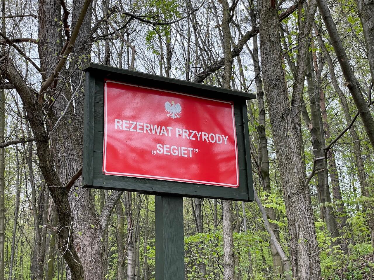 Rezerwat Segiet wiosną