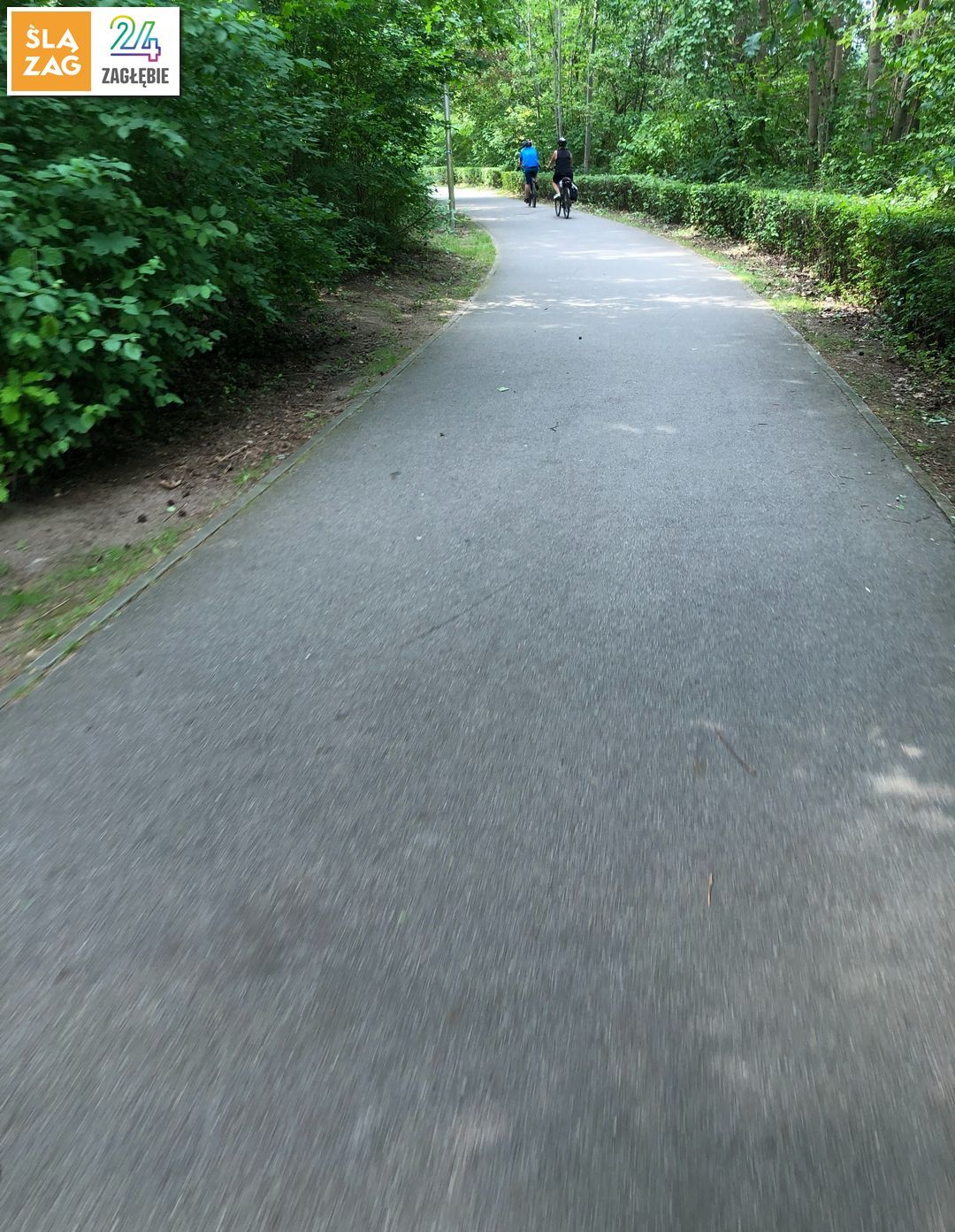 Rogoznik Park Fot Robert Lechowski 2026 07 26 06 Kdar