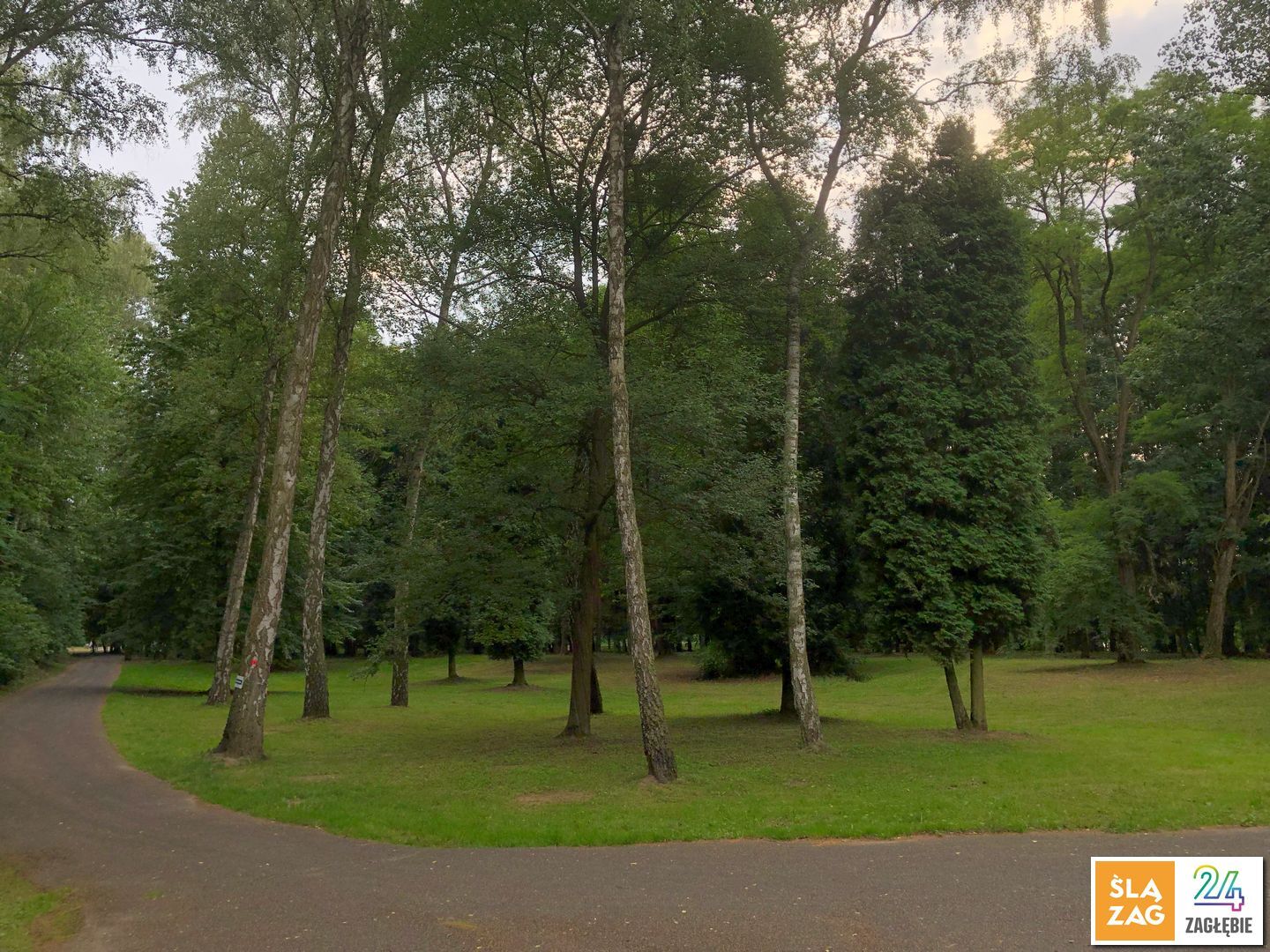 Rogoznik Park Fot Robert Lechowski 2026 07 26 21