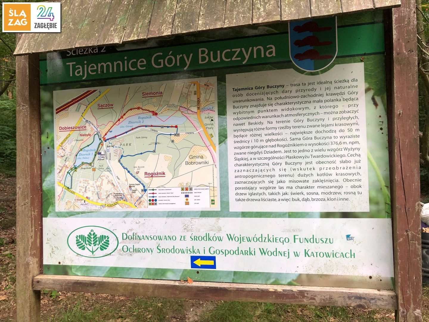 Rogoznik Ul Cmentarna Las Rogoznicki Wejscie Tablica Informacyjna Fot Robert Lechowski 2026 07 26 03
