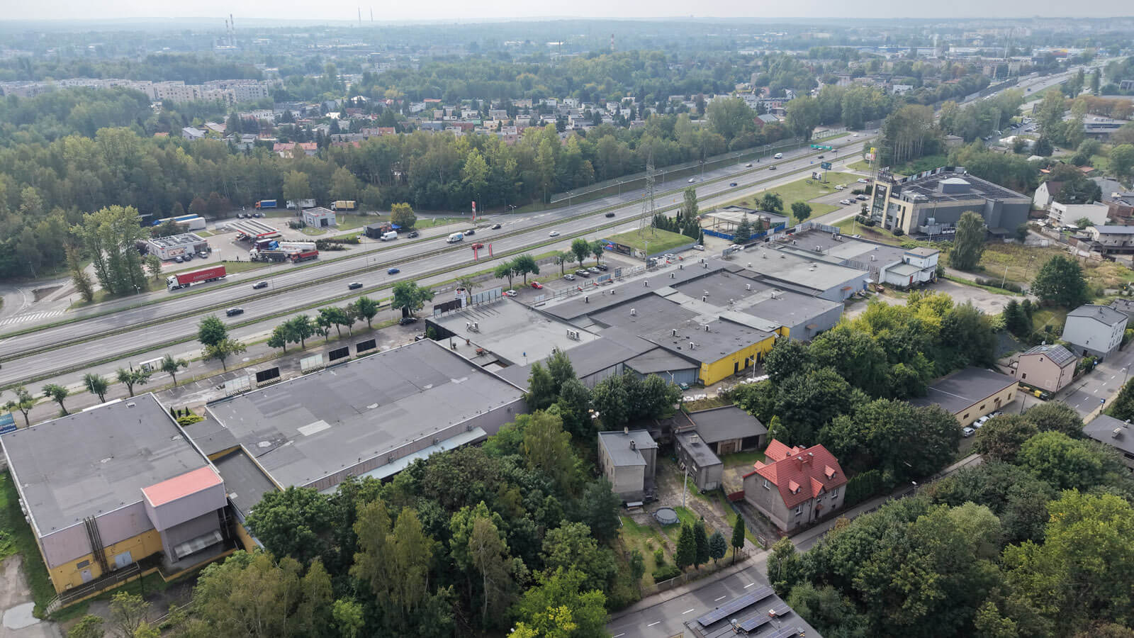 Rozdzień na sprzedaż